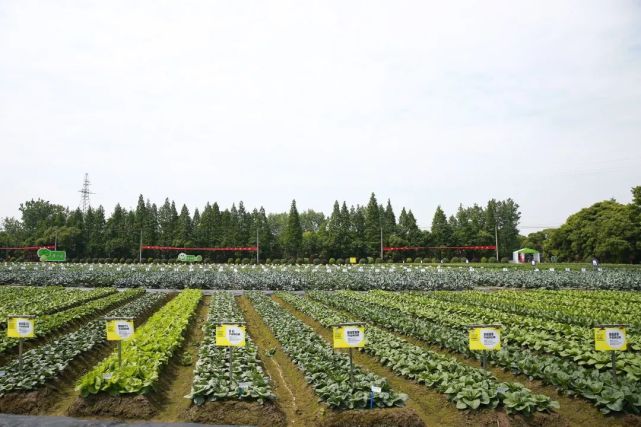 2022浙江種業(yè)博覽會明日盛大開幕，助推現(xiàn)代種業(yè)創(chuàng)新發(fā)展